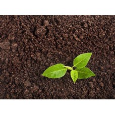 Black Gold Loam Top Soil Black Gold Loam Top Soil