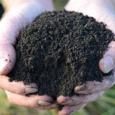 Peat Free Organic Compost